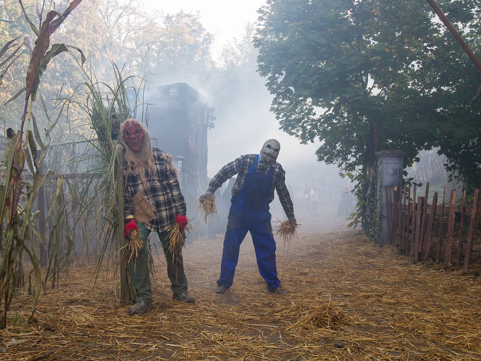 40 Jahre Halloween Burg Frankenstein - FRIZZ - Das Stadt- und Kulturmagazin & Online-Portal für 