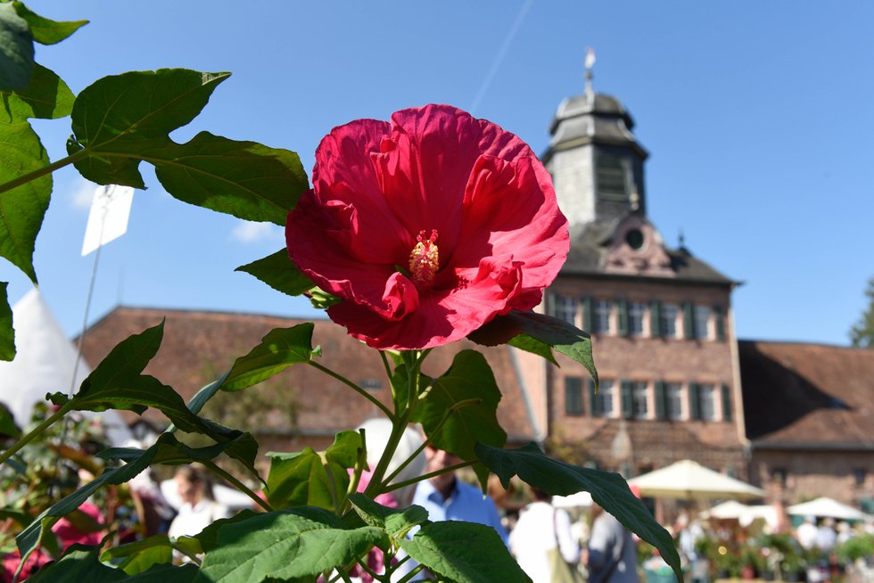 Das Fürstliche Gartenfest Schloss Wolfsgarten