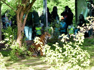 Zoo Frankfurt