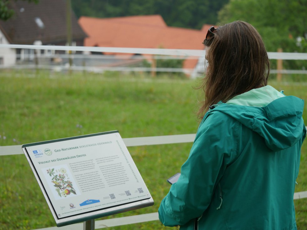 Geo-Naturpark Bergstraße-Odenwald