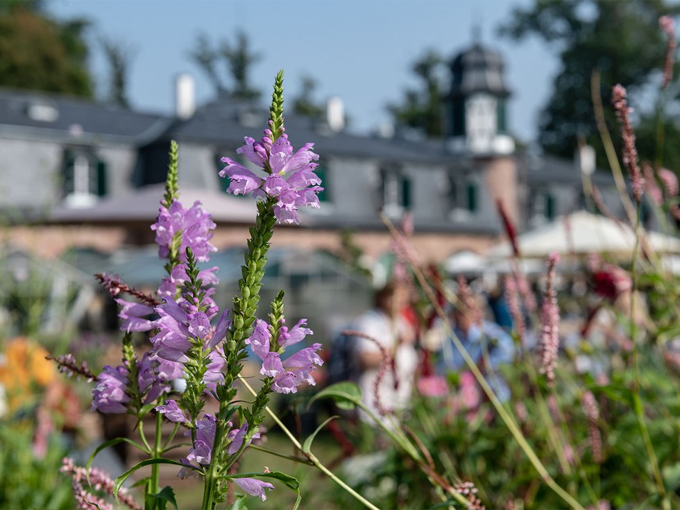 Das Fürstliche Gartenfest